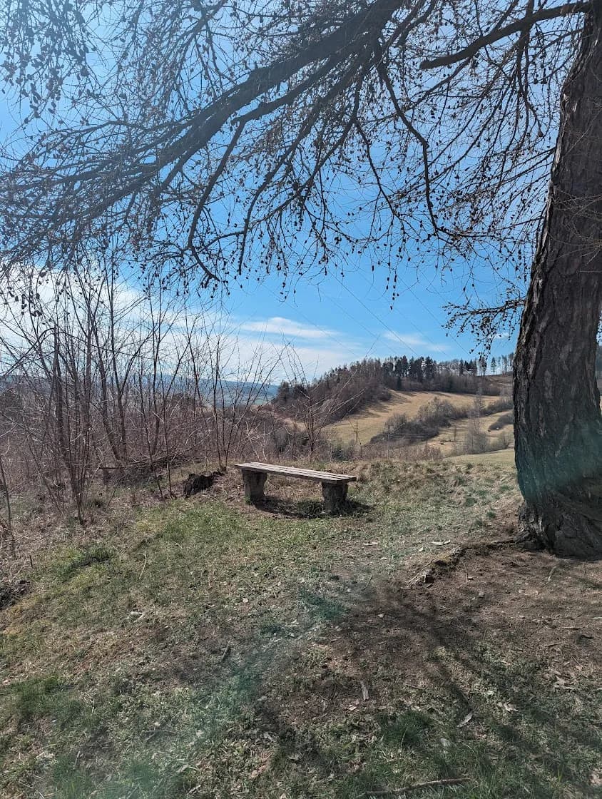 Fotografie lavičky: Skautská lavička Scheinostovo zátiší