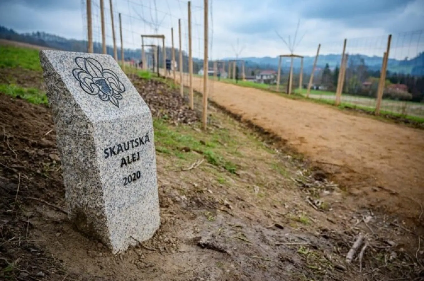 Lavička ve Skautské aleji 1