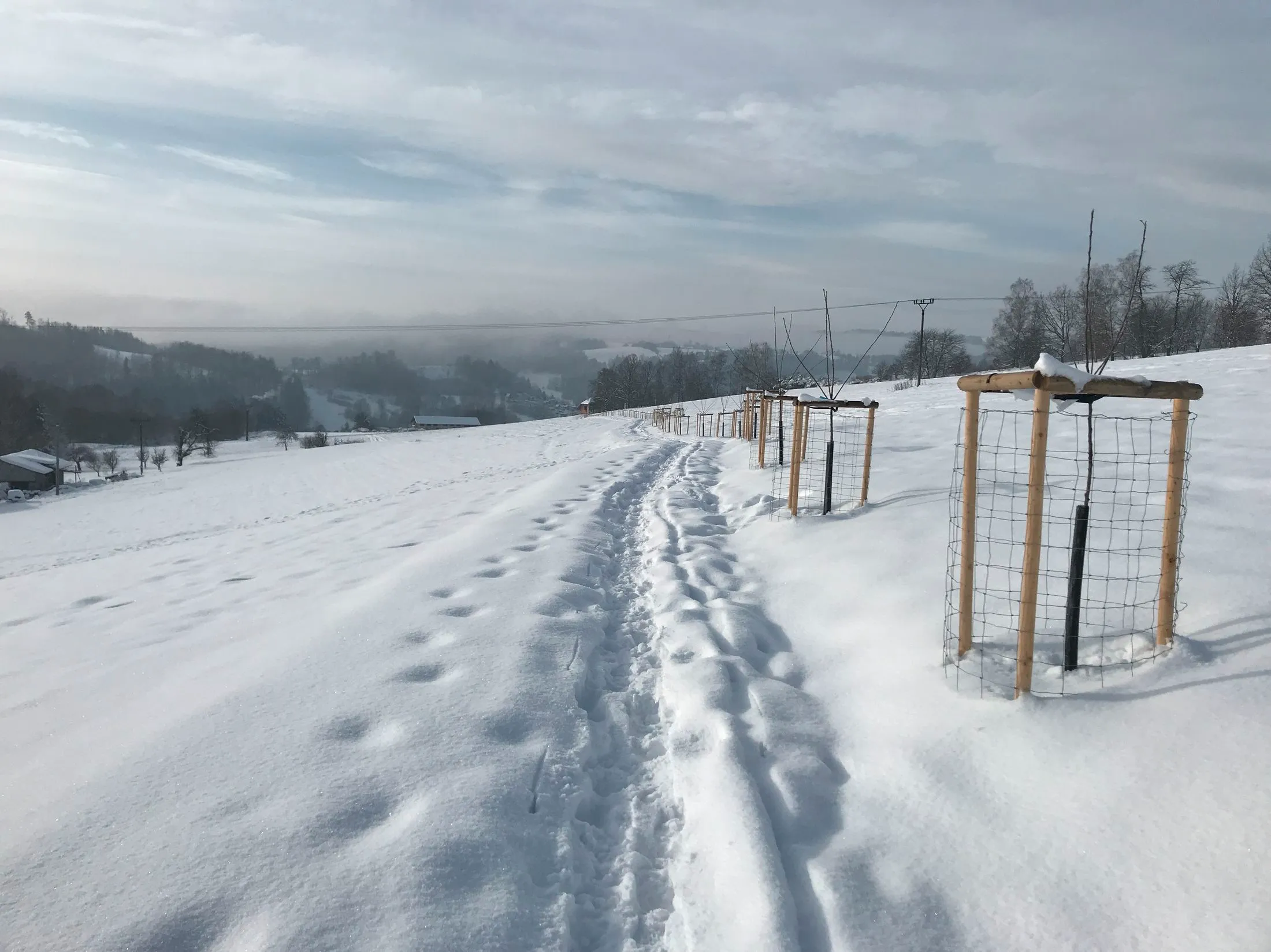 Lavička ve Skautské aleji 3