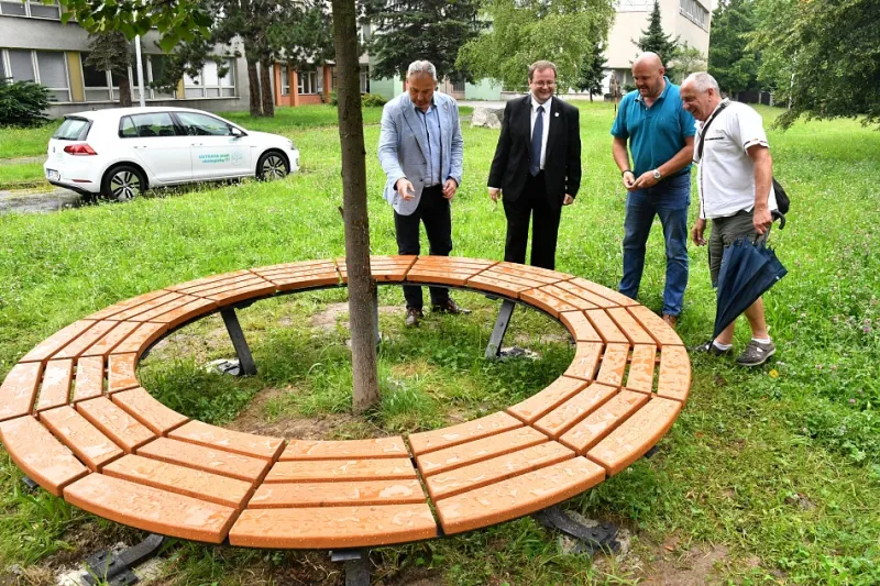 Skautská lavička u lípy sv. Anežky