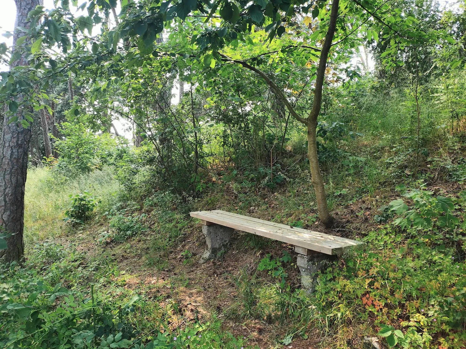 Skautská lavička Andělíček