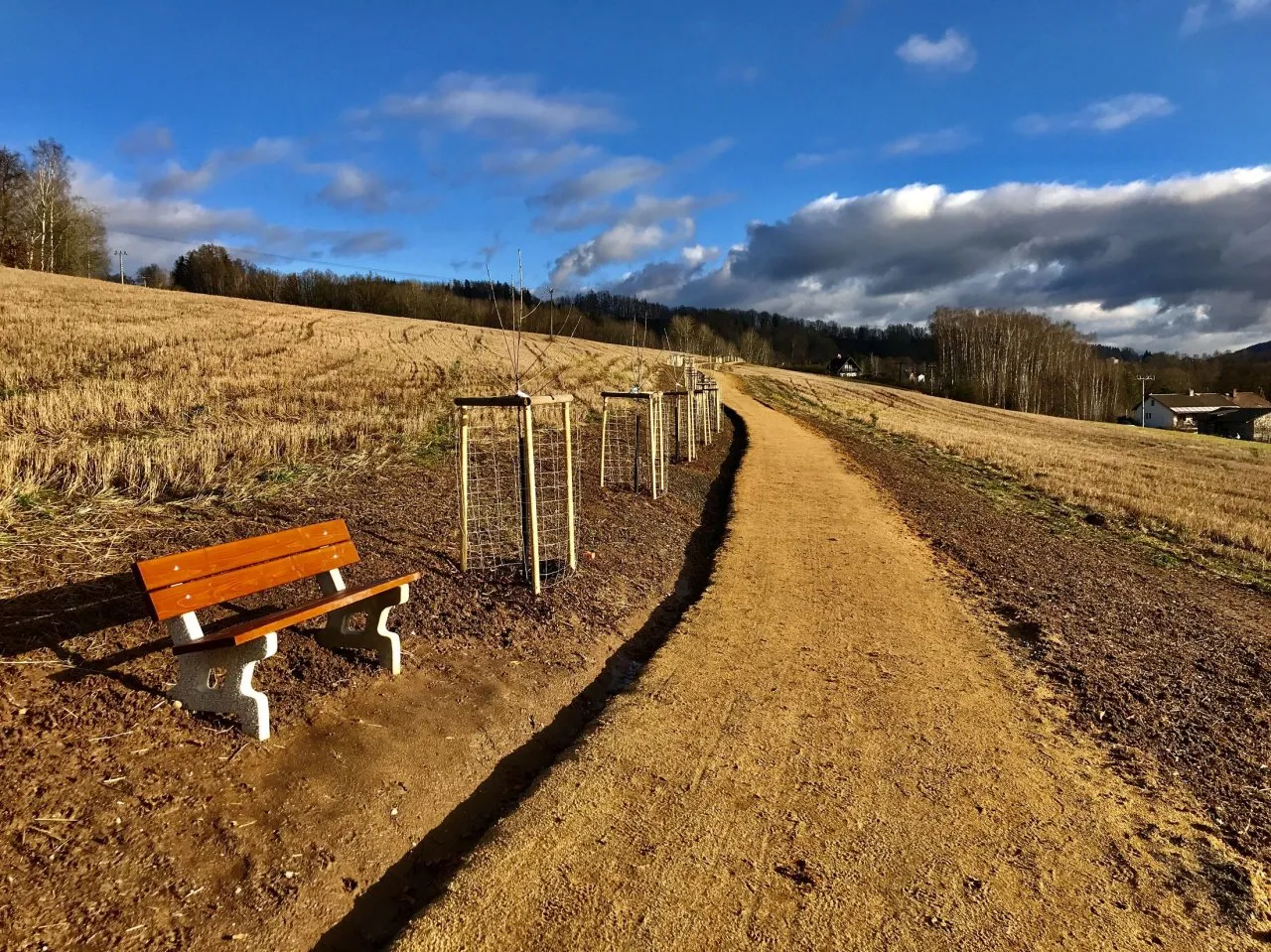 Lavička ve Skautské aleji 2