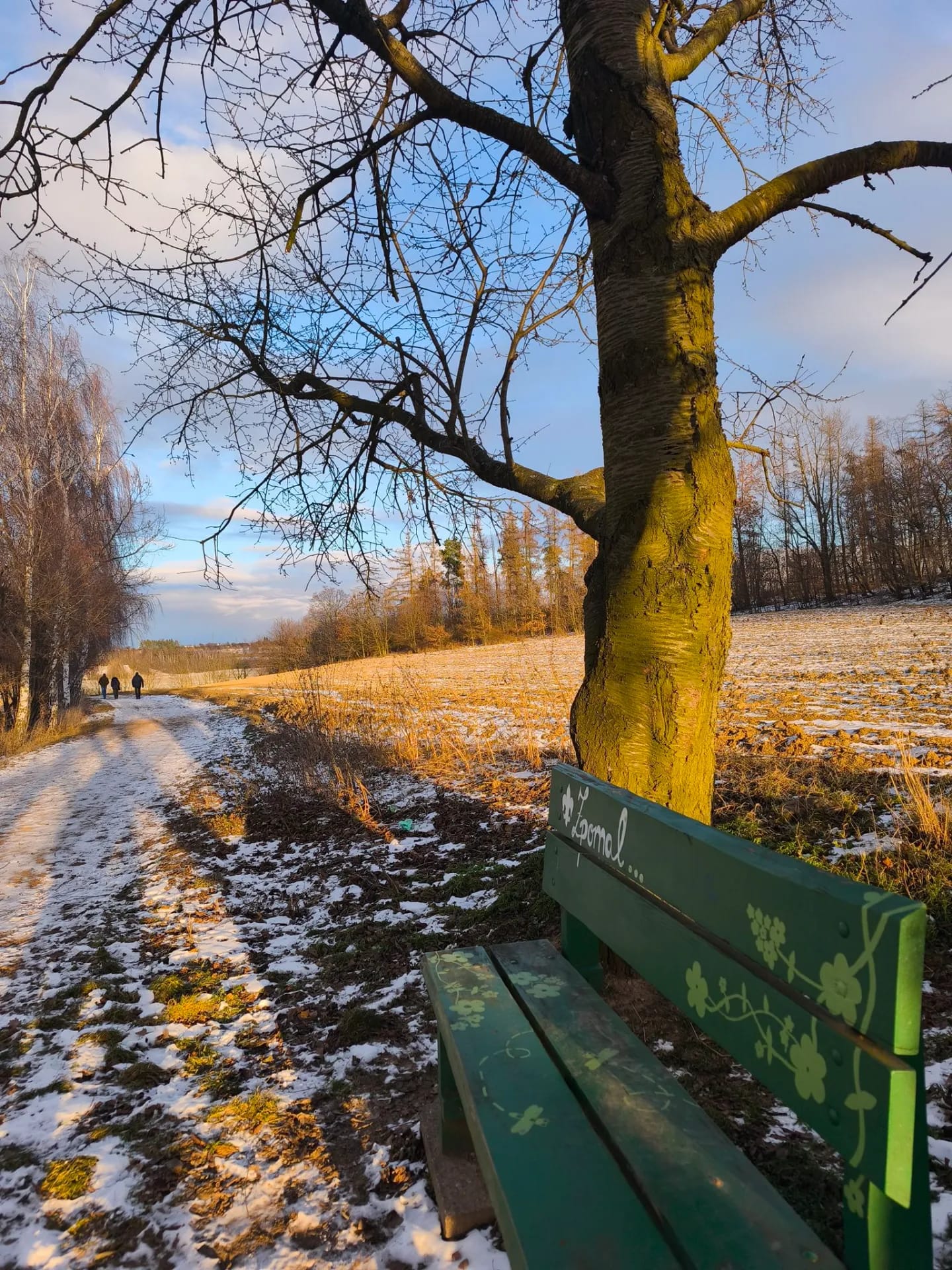 Lavička Zpomal - za hřbitovem